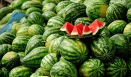 网红吃瓜公共号,揭秘娱乐圈幕后真相，带你领略明星们的真实生活